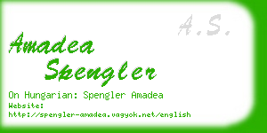 amadea spengler business card